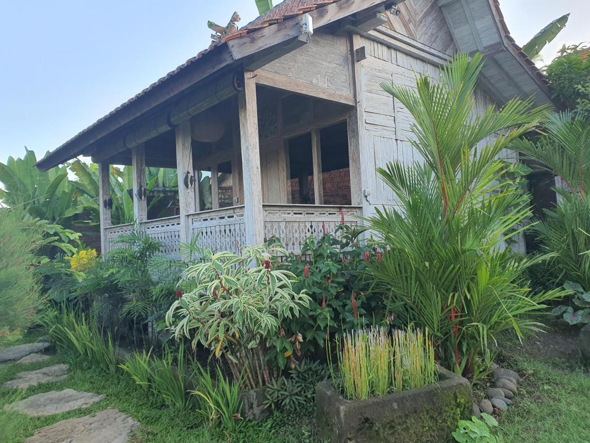 Agaliving Medewi Bed & Breakfast Pulukan Exterior photo